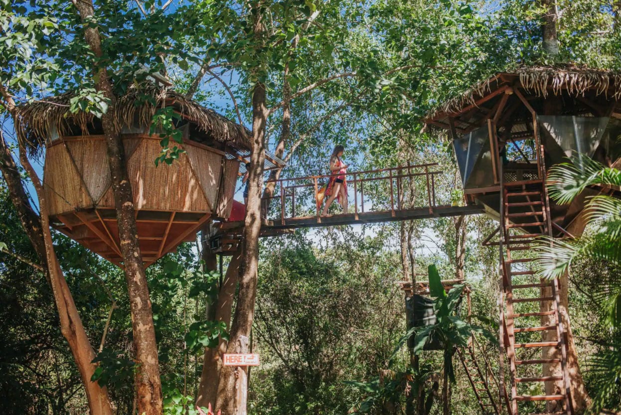 Sacred GeomeTree House